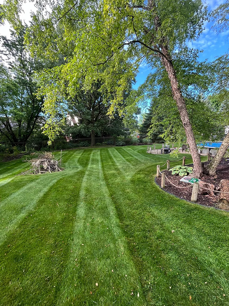 Lawn-Care-Saltzman-Outdoors