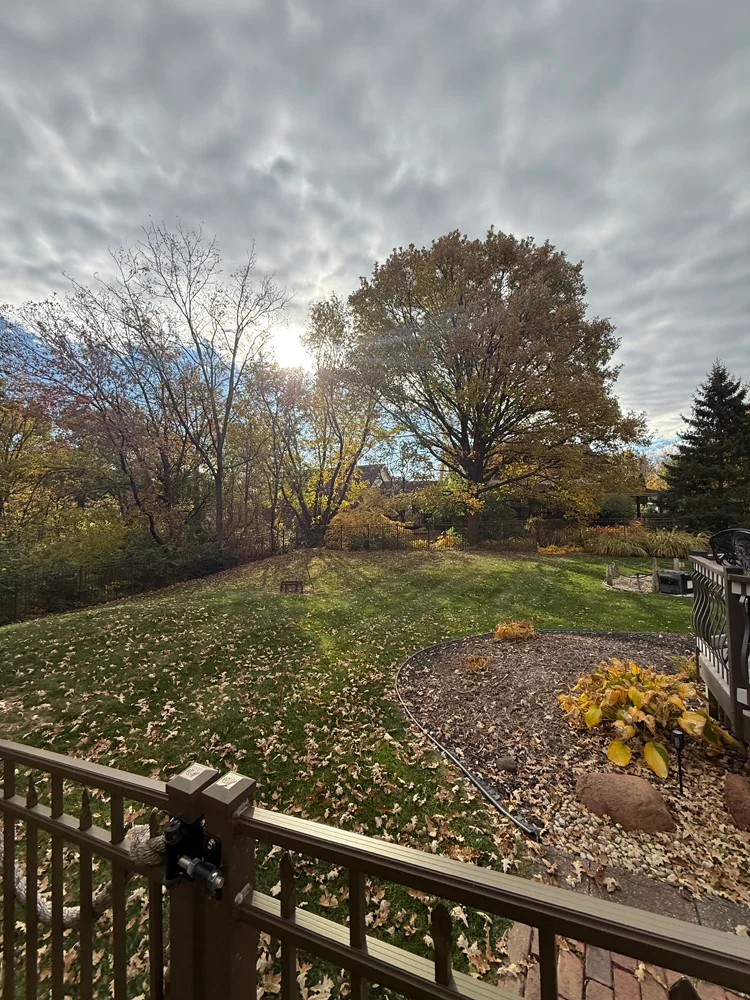 Spring & Fall Cleanup Saltzman Outdoors