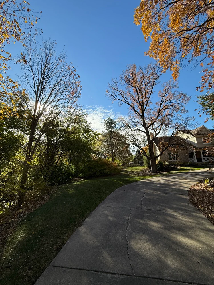Spring & Fall Cleanup Saltzman Outdoors