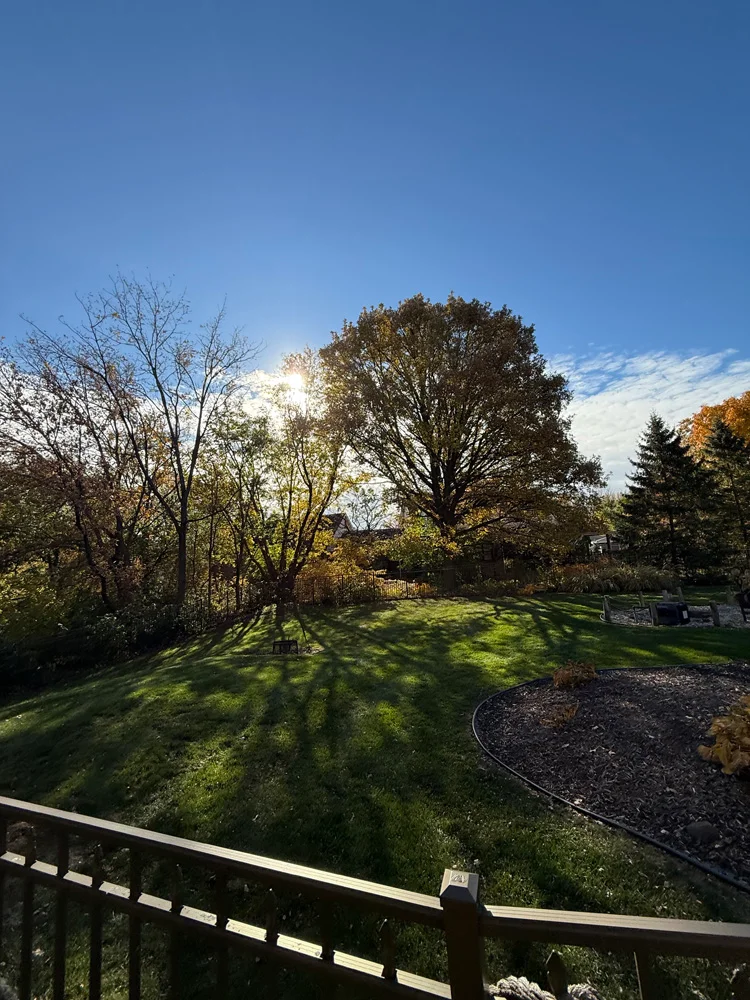 Spring & Fall Cleanup Saltzman Outdoors