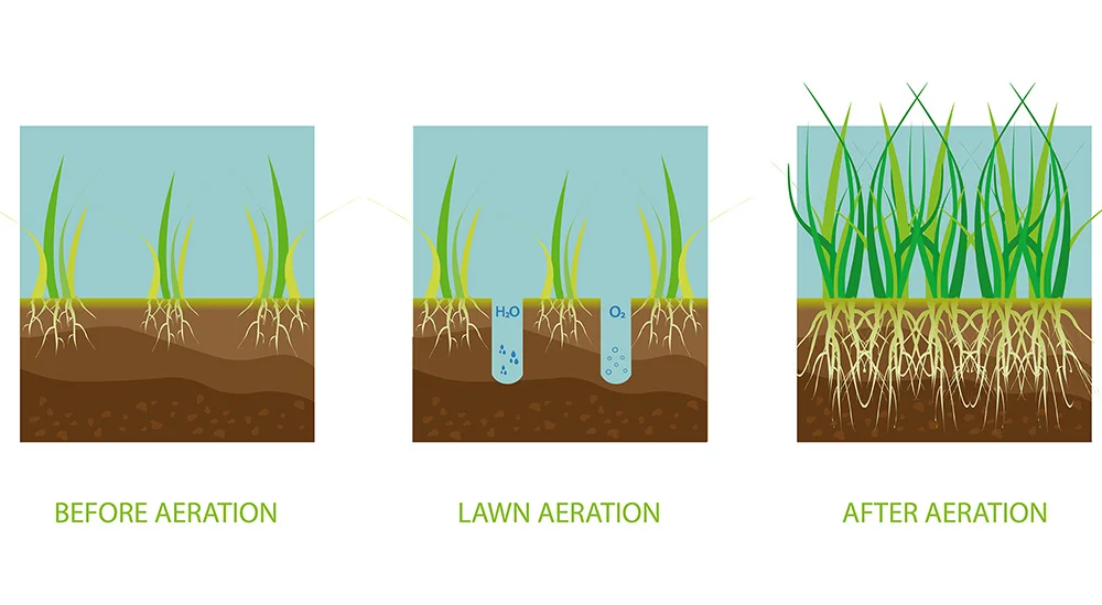 Lawn-aeration